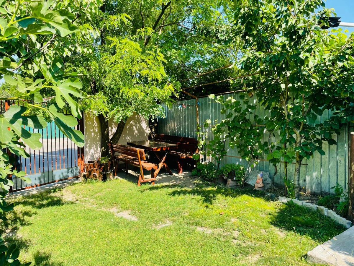 Гостевой дом Casa Chitu Муригьол Экстерьер фото