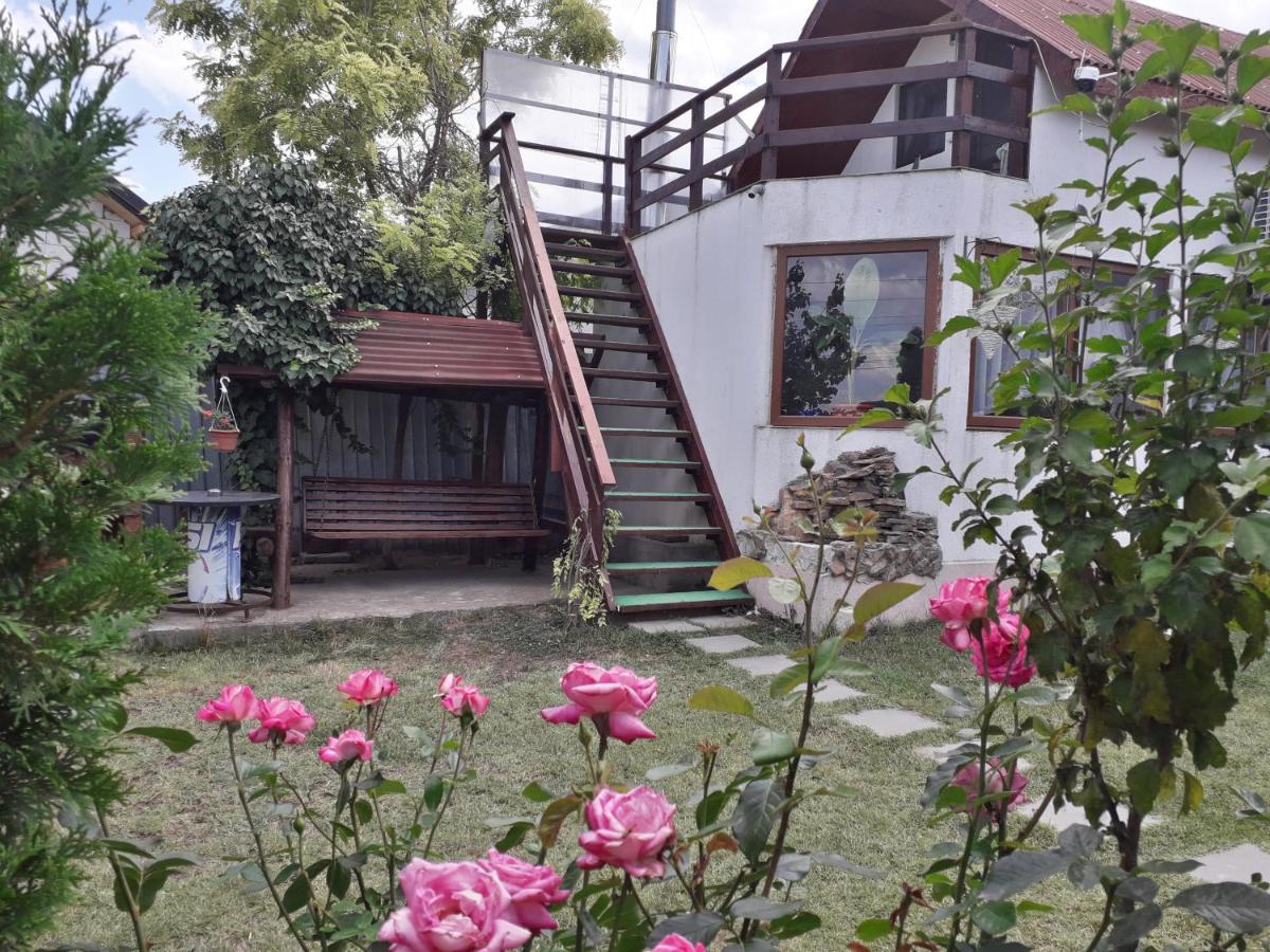 Гостевой дом Casa Chitu Муригьол Экстерьер фото